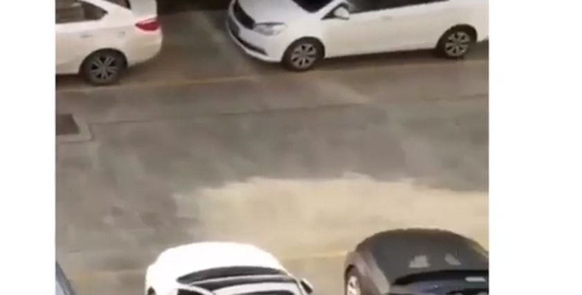 فتاة تنال من سائق سيارة