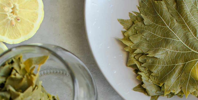 تخزين ورق العنب