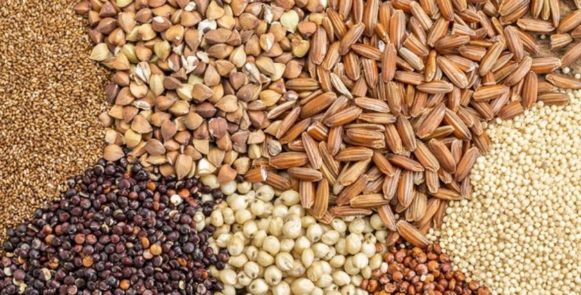 الكربوهيدرات البطيئة