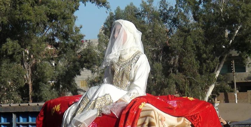عروسة راكبة جمل